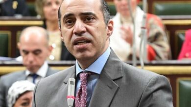 المستشار محمود فوزي