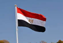 الدولة المصرية
