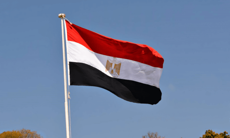 الدولة المصرية