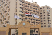 التنظيم والإدارة