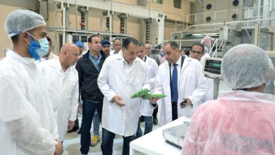 تفقد مصانع مجموعة المصرية السويسرية للمكرونة