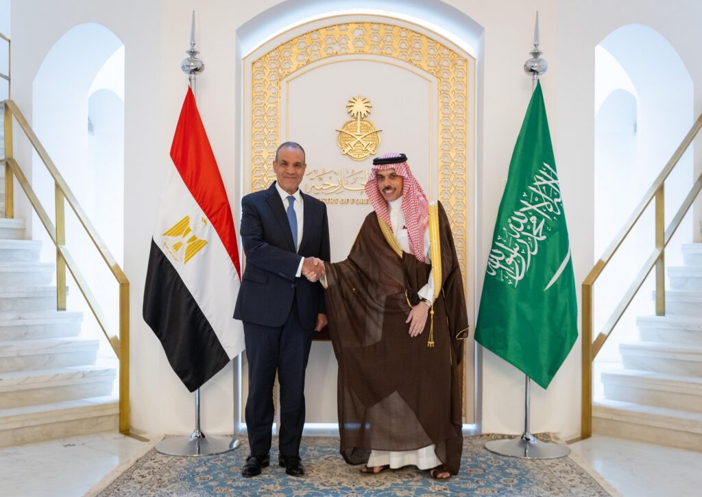 وزيرا الخارجية المصري والسعودي