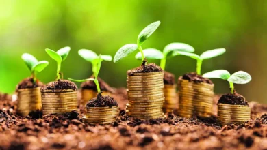 تمويل الاقتصاد الأخضر