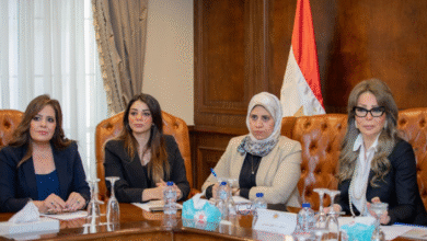 مناقشة خطة العمل المستقبلية