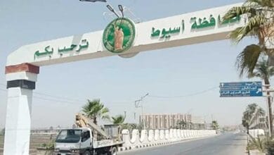 محافظة سيوط