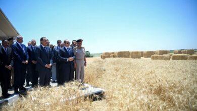 مشروع "مستقبل مصر"
