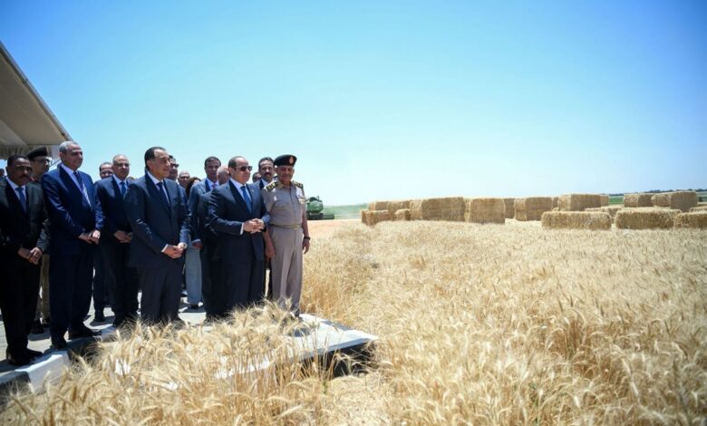 مشروع "مستقبل مصر"