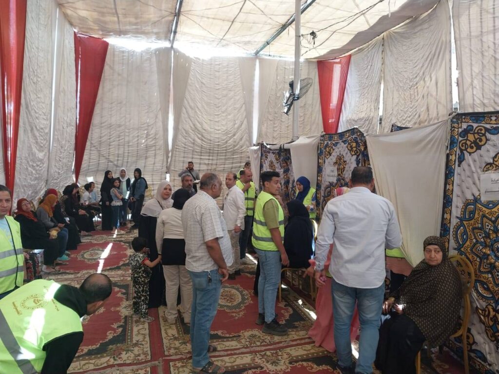 النائبة ريهام عفيفي