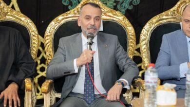 السيد أحمد الألفي