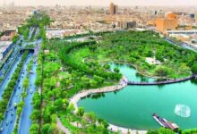 تحويل القاهرة إلى مدينة خضراء _ صورة تعبيرية