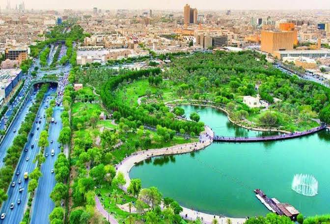 تحويل القاهرة إلى مدينة خضراء _ صورة تعبيرية