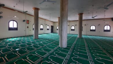 الفيوم