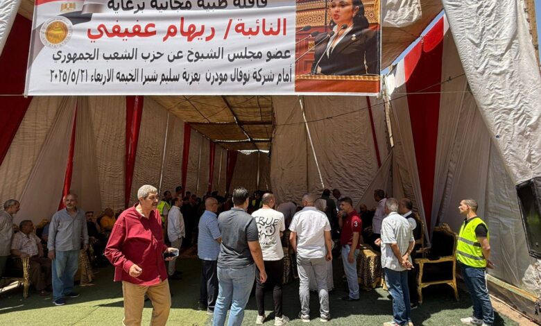 النائبة ريهام عفيفي
