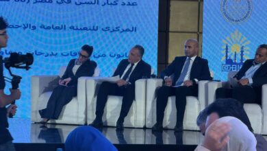 النائبة ريهام عفيفي