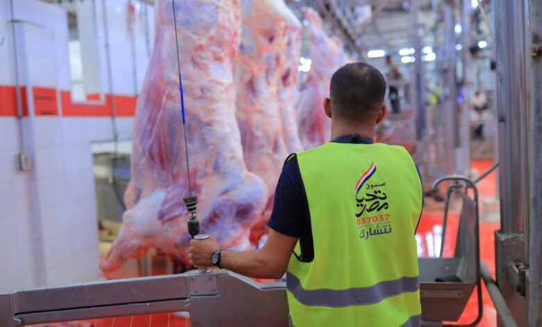توفير الأضاحي واللحوم قبل عيد الأضحى