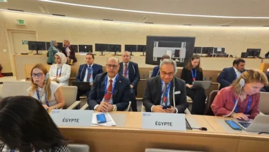 منح فلسطين صفة مراقب بمنظمة العمل الدولية