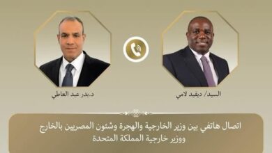 وزير الخارجية المصري ونظيره البريطاني
