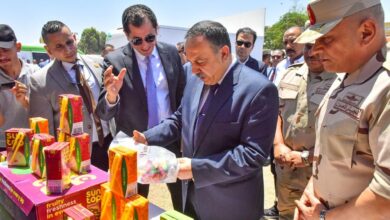 صندوق تحيا مصر