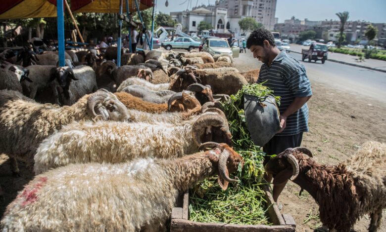 المجازر الحكومية