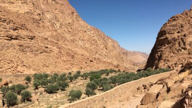 المحميات الطبيعية