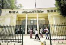 حديقة الحيوان في الجيزة