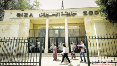 حديقة الحيوان في الجيزة