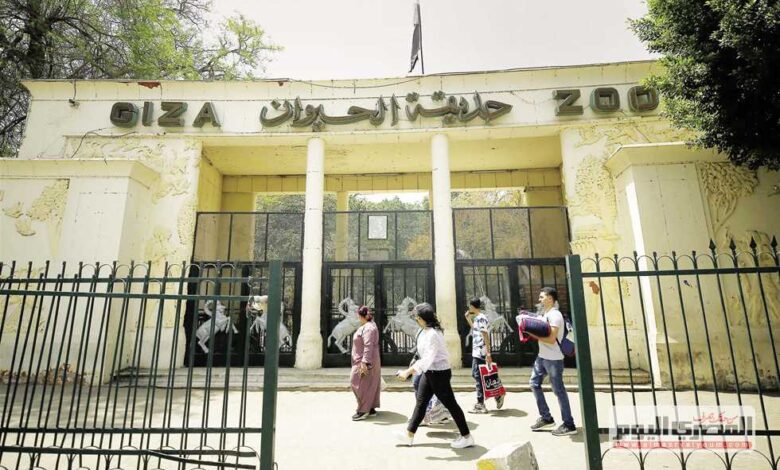 حديقة الحيوان في الجيزة