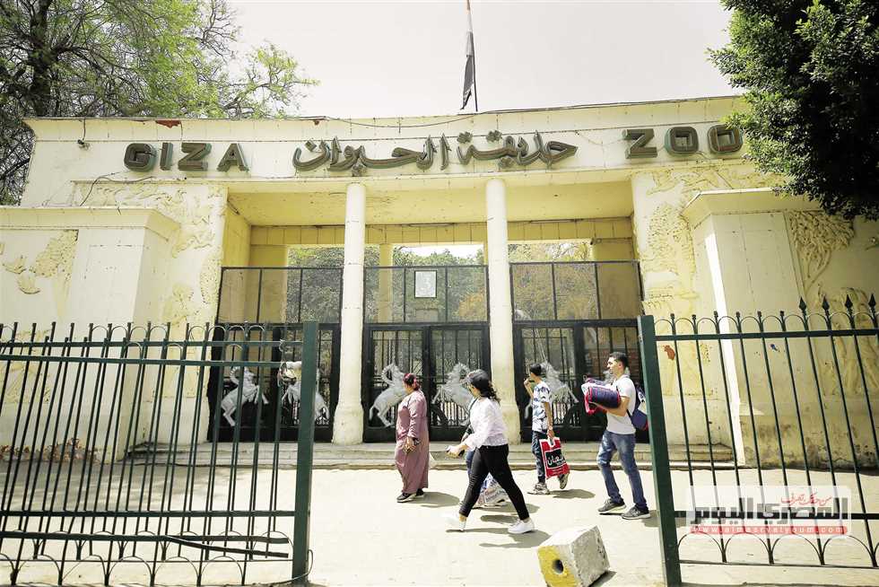 حديقة الحيوان في الجيزة