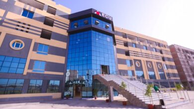 الجامعة المصرية الصينية