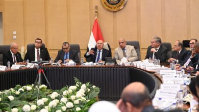 إنشاء 3 مصانع بنظام المناطق الحرة