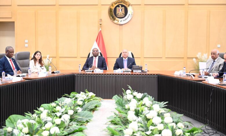كامل الوزير