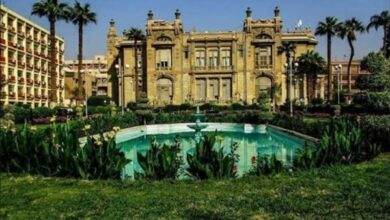 جامعة عين شمس الأهلية