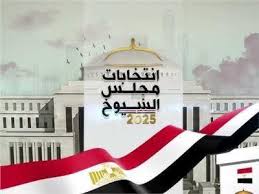انتخابات مجلس الشيوخ 2025