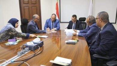 الريف المصري