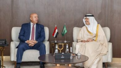 كامل الوزير