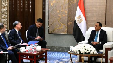 هندسة الطاقة الصينية