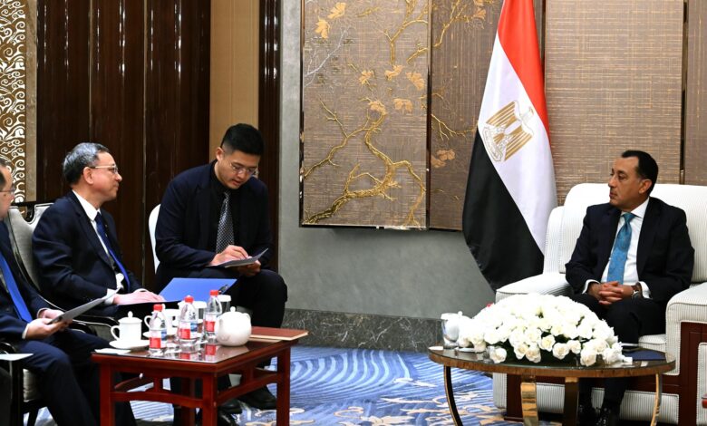 هندسة الطاقة الصينية