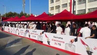 انتخابات مجلس الشيوخ _ صورة تعبيرية