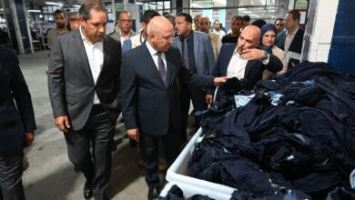 كامل الوزير