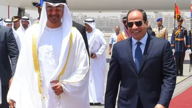 الرئيس السيسي وبن زايد