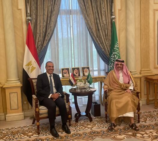 وزير الخارجية ونظيره السعودي
