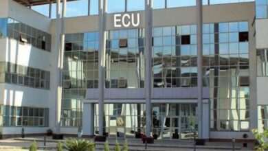 الجامعة الصينية