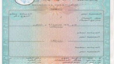 استحراج شهادة ميلاد أونلاين