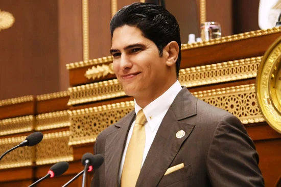 أحمد أبو هشيمة عضو مجلس الشيوخ