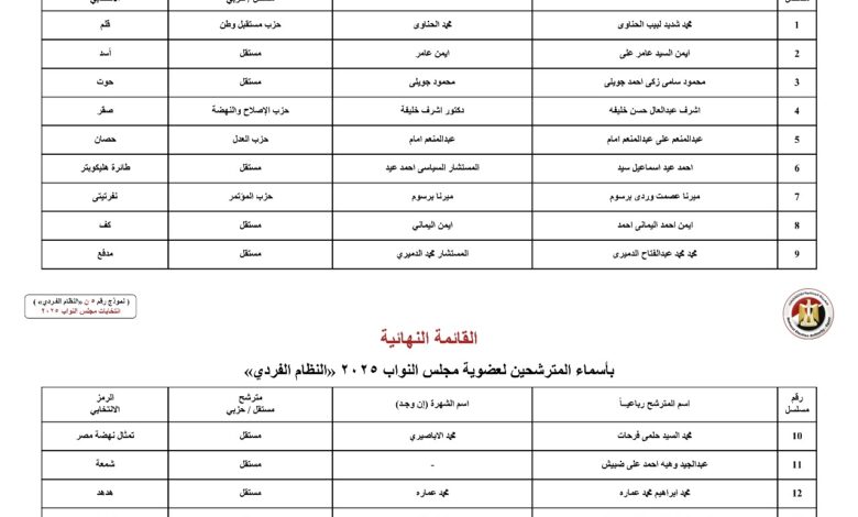 القائمة النهائية لمرشحي مجلس النواب في القاهرة 2025 بالنظام الفردي