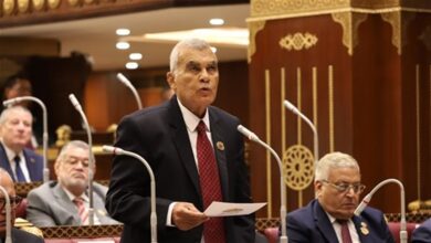 المستشار عصام الدين