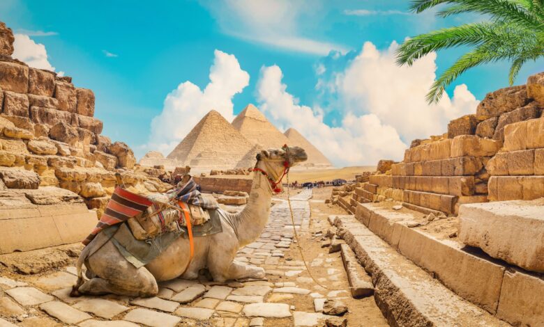 المقصد المصري