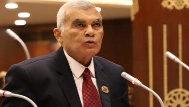 المستشار عصام الدين فريد رئيس مجلس الشيوخ