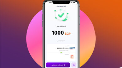 إضافة المعاشات على تطبيق إنستاباي