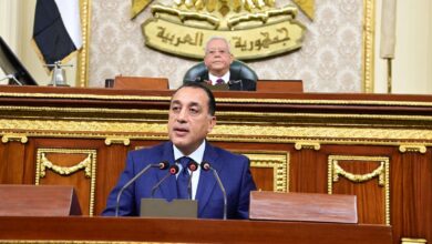 رئيس الوزراء بالنواب